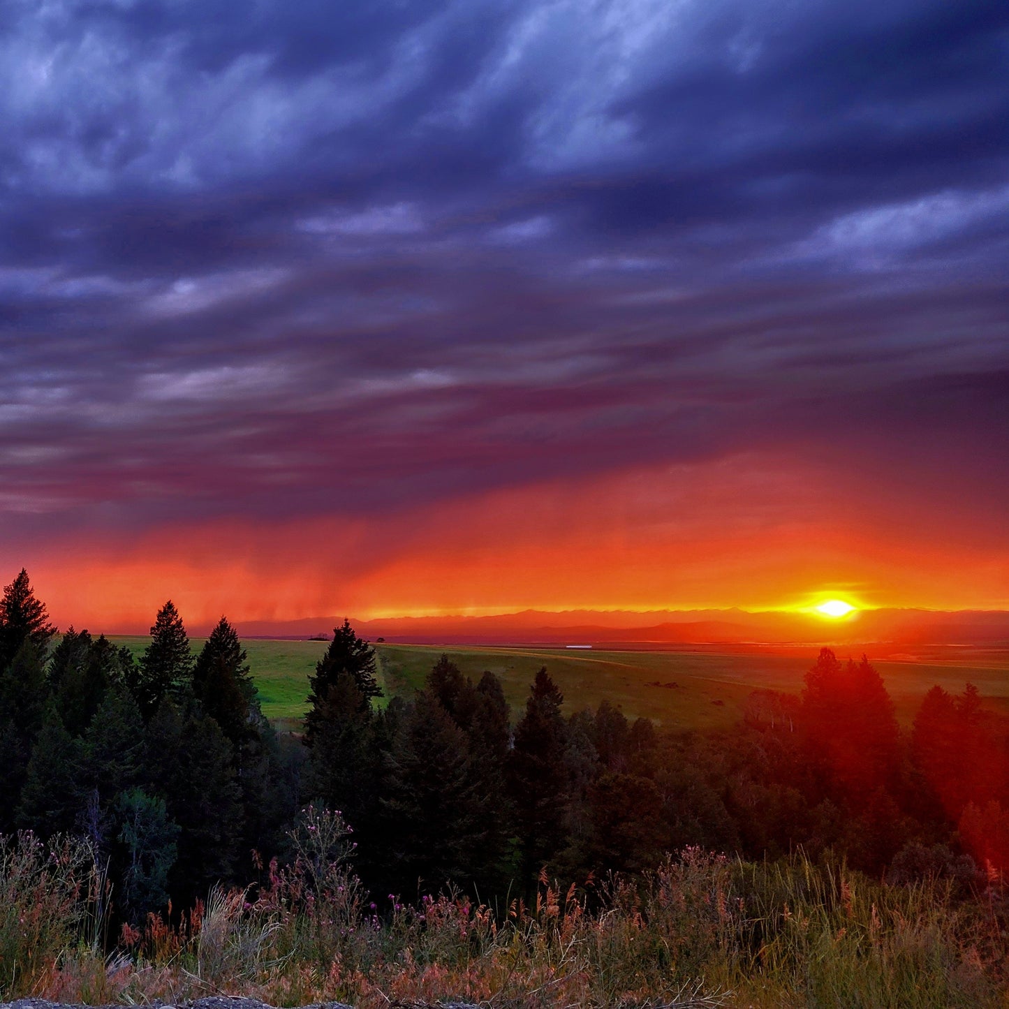 Rainy Sunset Over Trees