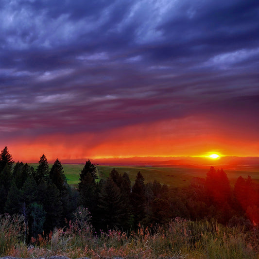 Rainy Sunset Over Trees